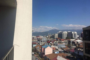 Entire Apartment in BATUMI city center